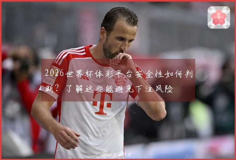 2026世界杯体彩平台安全性如何判断？了解这些能避免下注风险