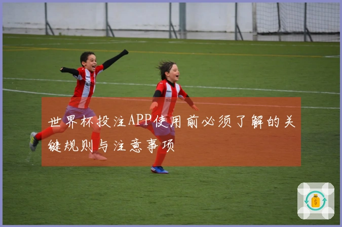 世界杯投注APP使用前必须了解的关键规则与注意事项