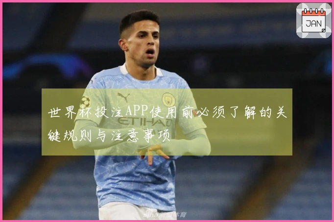 世界杯投注APP使用前必须了解的关键规则与注意事项
